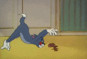 微信图片_20241113113820.gif