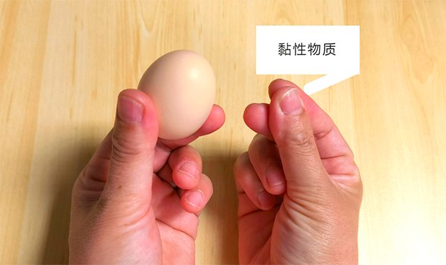 微信图片_20250312205050.png