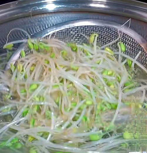 微信图片_20250523231358.jpg