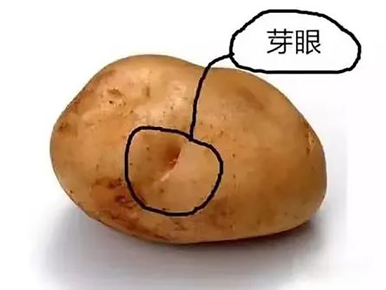 微信图片_20250526003824.jpg