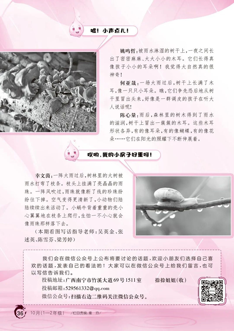 微信图片_2026-03-11_174057_039.jpg