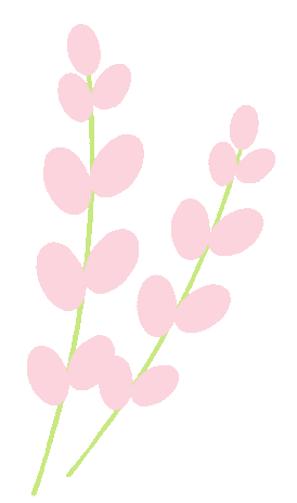 微信图片_2026-03-05_171324_108.jpg
