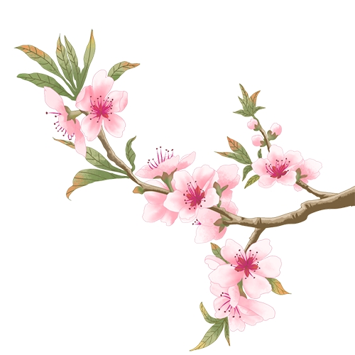 微信图片_2026-03-20_101052_948.png